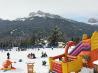 TH Cadore - Hotel Antelao Hotels in Borca di Cadore