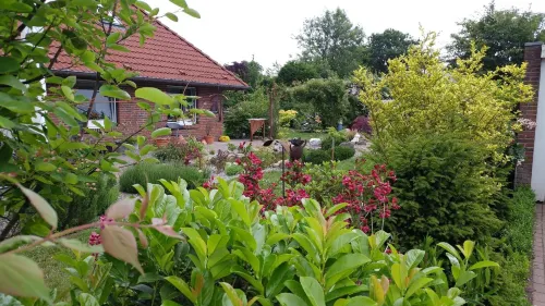 Eulennest - parking