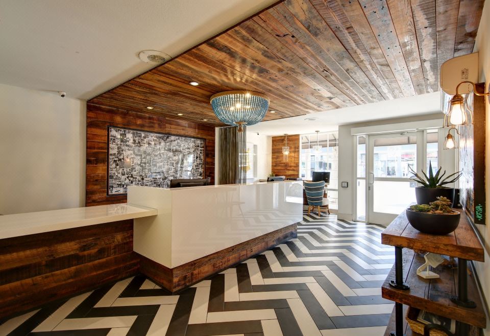 베니스 해변의 활기찬 풍경