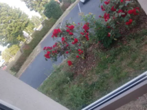 Hôtel le Cosy Blois Villebarou