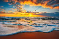 Palm Beach Singer Island Resort & Spa Luxury Suites - Beach
