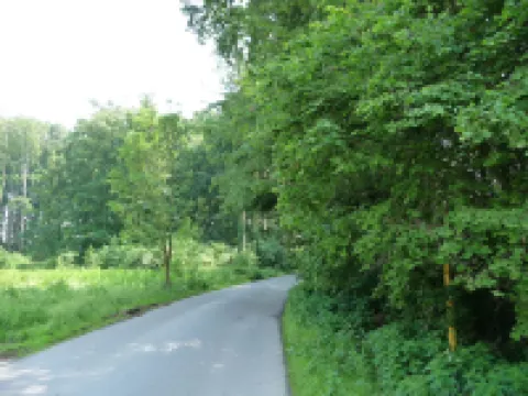 스타 힐 빌라 리조트 하우스