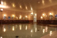 Hotel Yuzawa Yuzawa Denkiya - spa