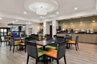 Comfort Suites Hotels in Wyldwood