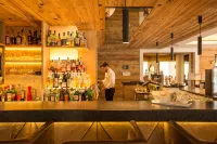Hotel Albion Mountain Spa Resort Dolomites - bar