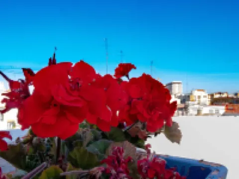 Hi Valencia Canovas Hotels in Valencia