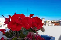 Hi Valencia Canovas