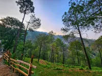 Musical Paradise Hotels in Parwanoo