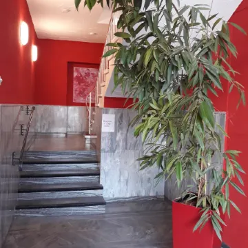 Ricks City Hotel 2