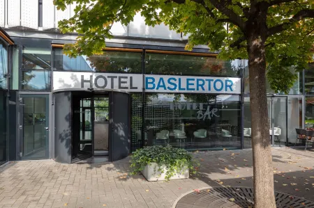 Hotel Baslertor Отели в г. Муттенц