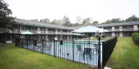 Greenville Inn and Suites - Jacuzzi