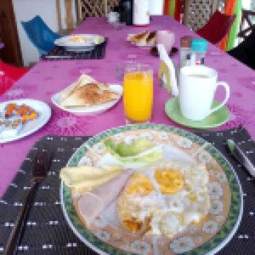 House Jardin Del Caribe