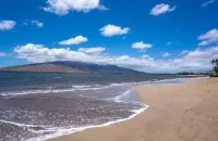 Airy Coastal Dream Vistas