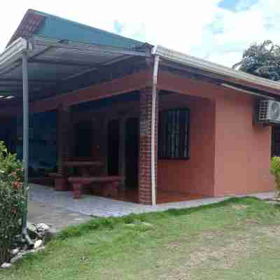 Hostel y Cabinas Tapandua Hotel Exterior