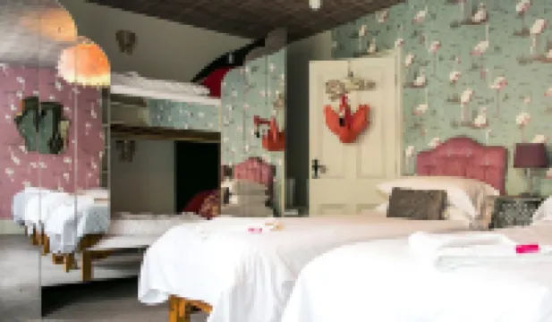 Wonderland House
