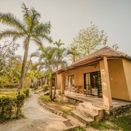 Into the Wild Eco Resort