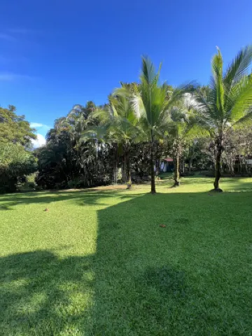 Blue Banyan Inn Hotels in 