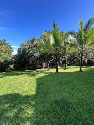 Blue Banyan Inn - Posadas