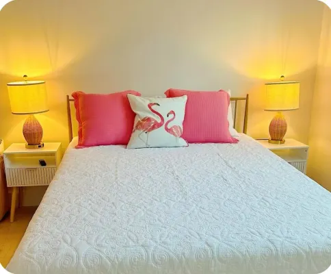 Flamingle in Palm Harbor