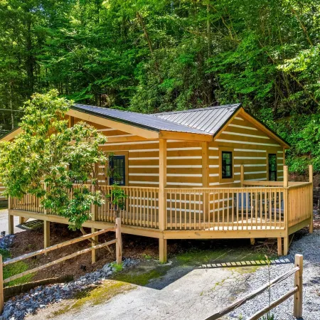 2bdrm Cabin 3 Gburg Pet-friendly Firepit Games