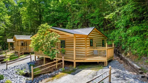 2bdrm Cabin 3 Gburg Pet-friendly Firepit Games