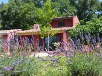 The Little House in the Olive Trees