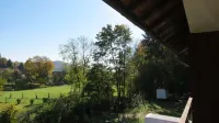 Fewo mit Balkon Direkt am Wald und Wanderweg, DG, Ruhe Pur, 2-4 Pers , Wlan Grat