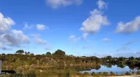 Raglan Retreat With Water Views