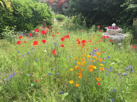 Quiet apartment with a great view