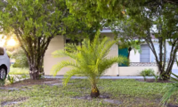 2 bedroom house, minutes to beaches, Atlanta Braves and Tampa Sea Rays stadiums