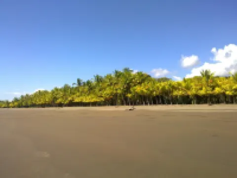 Slice Of Paradise, Bungalow for 2, full kitchen & bath, king bed, AC, & gazebo Hotels in Savegre