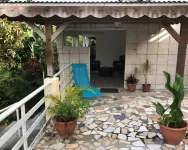 The tropical garden
