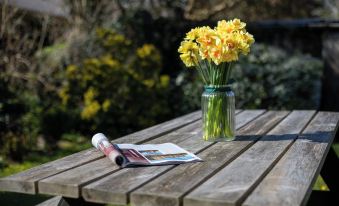 Sylvie's Country Cottage North Devon