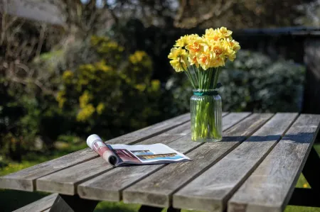 Sylvie's Country Cottage North Devon Отели рядом с достопримечательностью «Sandymouth Beach»