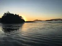 Cobble Wood & Bird Sanctuary Guest Houses Hotels in Tofino