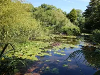 Pond Cottage Hotels in Saint Gluvias