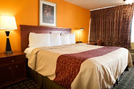 Highlander Motel Отели в г. Атенс