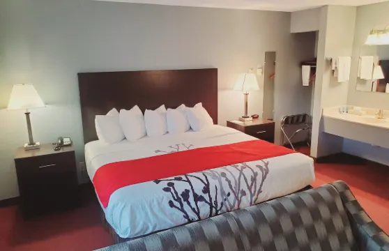 黑石山林小屋和套房酒店