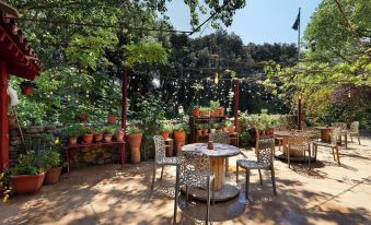 B&B Mas Torrencito Pet Friendly