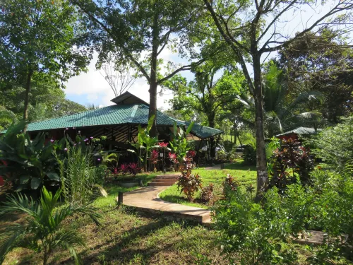 Oasis de las Palmas Hotels in Ojochal