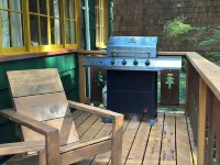 Cozy retreat, newly renovated with loft, hot tub, creek access, pet friendly