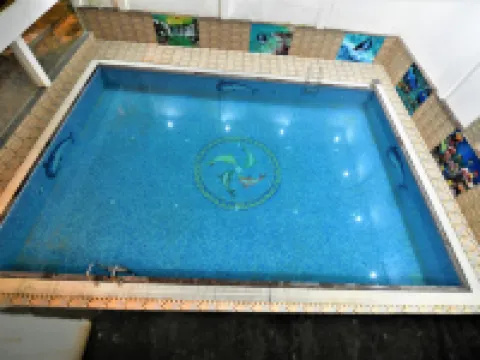 Hotel Star Bodh Gaya Hotels in Bodh Gaya