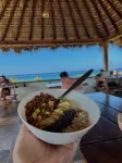SurfNest Hostel