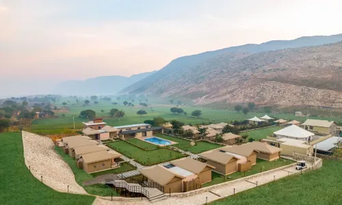 Sterling ReWild Sariska