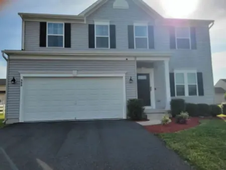 Harvest of tranquillity