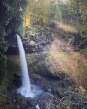 Silver Falls Luxury Studio-1/2 mi from Silver Falls