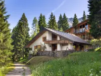 Larice Hotels in Mesocco