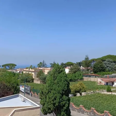 La Ginestra