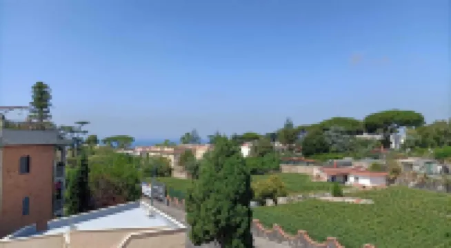 La Ginestra