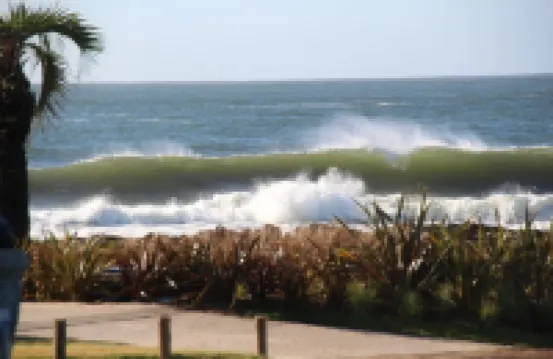 Punta del Este Spacious apartment in front of the beach with housekeeping